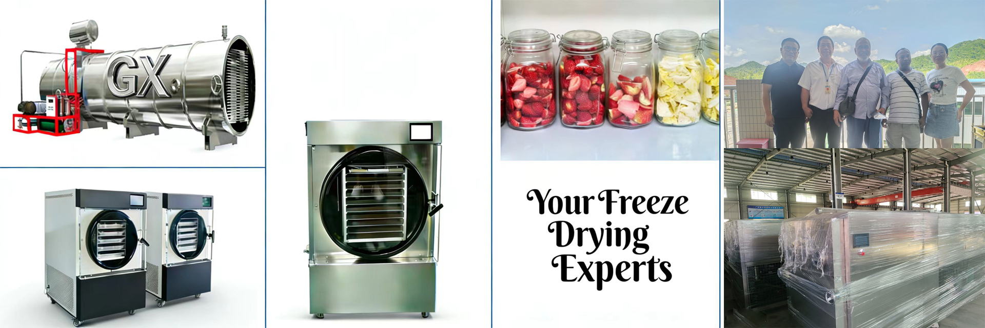 qualità essiccatore di gelata domestico fabbrica