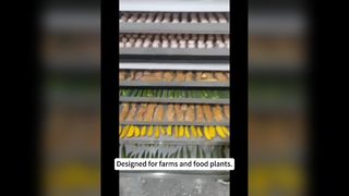 Liofilizzatore commerciale da 100 kg per alimenti
