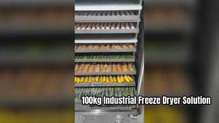 Liofilizzatore industriale da 100 kg per la produzione alimentare commerciale
