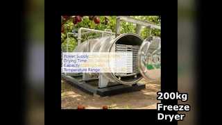 Liofilizzatore industriale da 200 kg in vendita