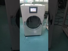 Scopri i vantaggi dell'asciugatrice in casa per la conservazione degli alimenti