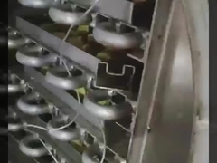 Liofilizzatore da laboratorio con camera in acciaio inox 304 e vuoto Bosch - Liofilizzatore di precisione