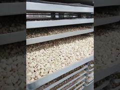 Guarda: Costruito per durare: vetrina per la lavorazione di liofilizzatori industriali a bassa manutenzione