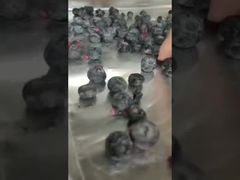 Guarda: Liofilizzatore industriale Essiccazione di precisione per ingredienti di alto valore in grandi quantità