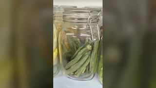 Liofilizzatore domestico Freschezza di 25 anni