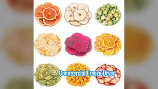 Liofilizzatore industriale Scala commerciale da 100 kg