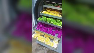 Liofilizzatore domestico Conserva il cibo in modo buono