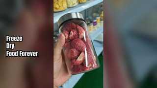 Liofilizzatore domestico per preservare la freschezza degli alimenti