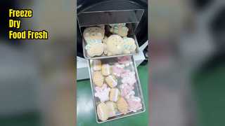 Liofilizzatore domestico Preserva la freschezza degli alimenti