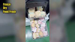 asciugatrice a congelamento domestica per la conservazione degli alimenti