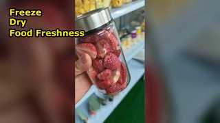 Il liofilizzatore domestico conserva gli alimenti e massimizza la nutrizione