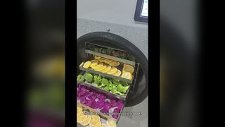 Liofilizzatore domestico per la conservazione degli alimenti a lungo termine