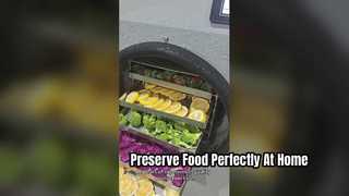 Liofilizzatore Elite Home Conserva il cibo come un professionista