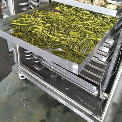 Frigorifero industriale alimentare 200 kg/ lotto Controllo PLC Aria di raffreddamento