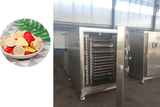 304 SUS asciugatrice industriale con sistema di refrigerazione Bitzer