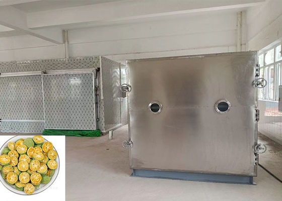 100 kg/ lotto Lyophilizer Freeze Dry Machine con Bitzer Unit