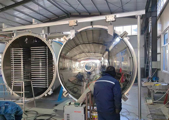 100 kg/ lotto Macchina per deidratare per congelamento