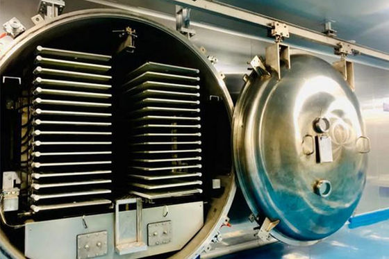 200 kg 100 kg Macchina per deidratore a vuoto e congelatore alimentare