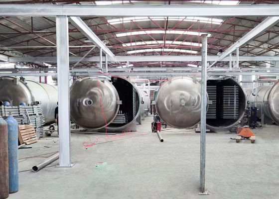 100 kg 200 kg apparecchiature per l'essiccazione industriali a vuoto alimentare