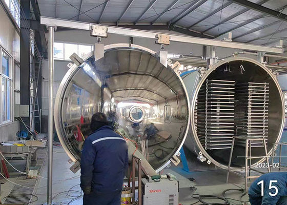 Prodotti alimentari Prodotti industriali di asciugatura per congelamento a freddo Frutta