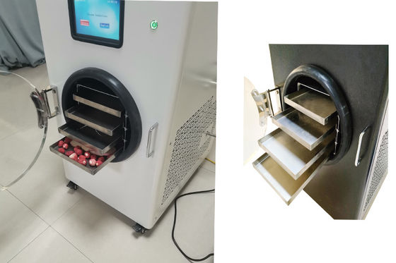 Potente sistema di refrigerazione  Mini Freeze Vacuum Dryer
