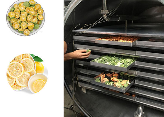 Macchine per disidratare con congelatore industriale per frutta e verdura 100 kg/ lotto