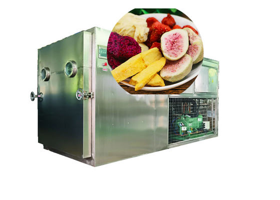 100 kg 200 kg Liofilizzatore alimentare a vuoto e liofilizzatore a controllo PLC
