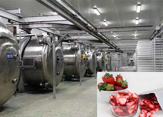 Macchine per l'asciugatura a vuoto e congelazione per alimenti da 100 kg