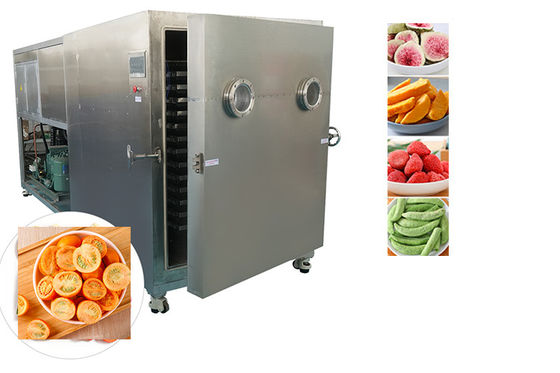 Sublimazione Alimenti industriali aspirapolvere essiccazione congelatrice raffreddamento dell'aria