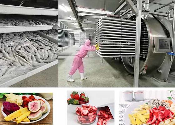 Asciugatrice a vuoto alimentare a controllo PLC 200 kg/ lotto