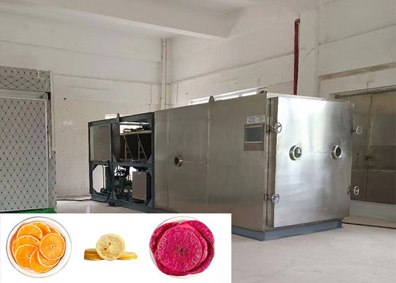 Alimenti Assorbente di verdura Freeze-dryer Personalizzabile Grande