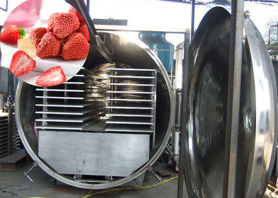 300Kg aspirapolvere Atla Industrial Food Vegetable Freezer asciutto