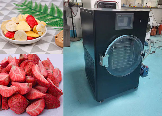 4kg 6kg 10kg Compatta PLC controllata Mini Freeze Dry Machine