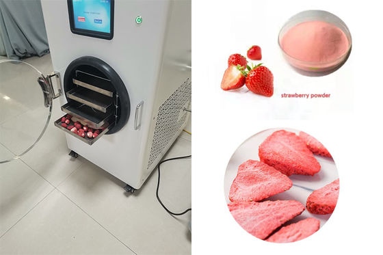 Mini asciugatrice per la casa in acciaio inossidabile LCD touch screen