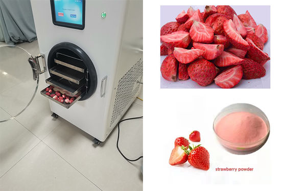 6 kg Mini Freeze Dryer Controllo PLC Riscaldamento elettrico