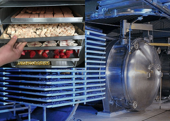 Asciugatrice a vuoto e congelatrice di alimenti di grado industriale Liofilizzatore a risparmio energetico