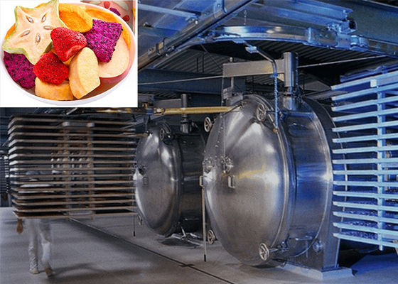 220V/380V/3PH asciugatrice a vuoto per alimenti per elevate prestazioni di asciugatura