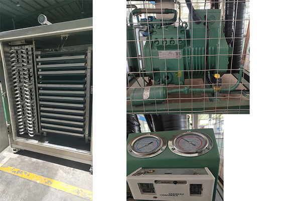 Liofilizzatore Farmaceutico Freeze Dryer elettrico riscaldamento vuoto