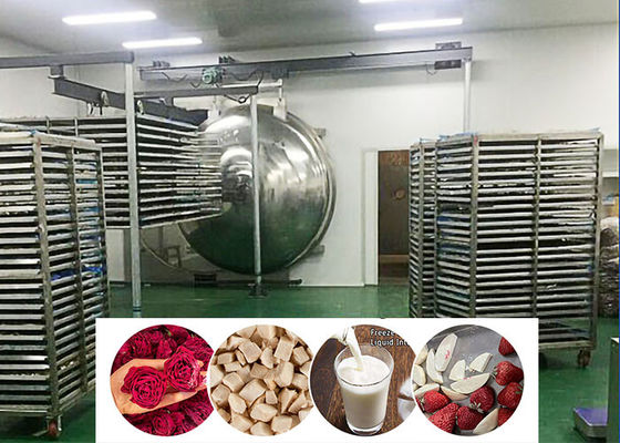 Asciugatrice a vuoto per prodotti alimentari industriali 200 kg/ lotto