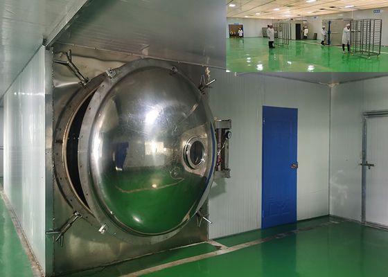 500 kg 300 kg alimenti industriali freezer asciugatore acqua raffreddamento