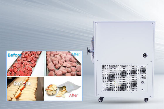 -50C- 50C Tempe Mini Freeze Dryer 10 kg/ lotto raffreddato ad aria