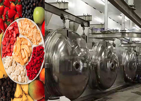 Macchine per l'essiccazione a vuoto per alimenti industriali 304 in acciaio inox