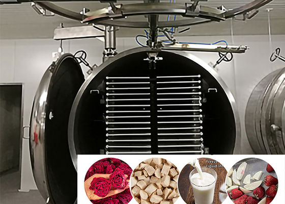 Risparmio energetico per apparecchiature commerciali di grandi dimensioni, essiccatore congelato 200 kg/ lotto
