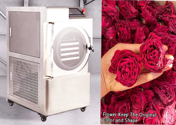 6 - 8 kg PLC Control Household Freeze Dryer Temperatura da -50°C a 50°C per la casa