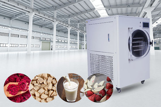 Mini Food Home Freeze Drying Equipment 6Kg 8Kg 10Kg