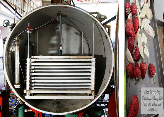 Macchina per congelatori industriali a secco da 300 kg a telecomando