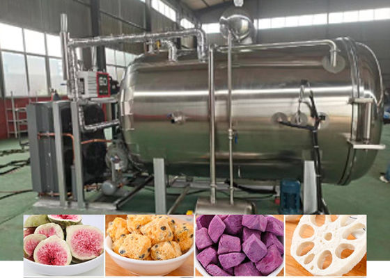 Macchina per frutta secca a vuoto e congelazione in acciaio inossidabile 304 100 kg