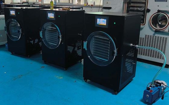 Controllo PLC in acciaio inossidabile asciugatrice a congelamento domestica con capacità da 6 a 8 kg