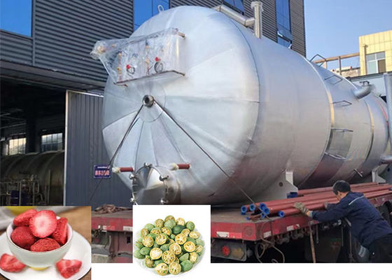 Grandi macchine industriali per l'asciugatura a congelamento 300 kg 500 kg 1000 kg