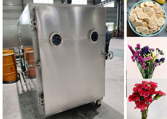 Efficiente Macchina per asciugatrice a vuoto e congelatore alimentare con sistema Leybold